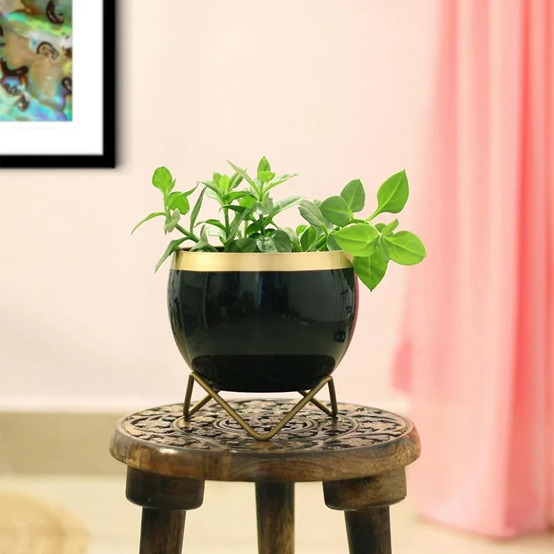 Brita Planter With Stand - Black