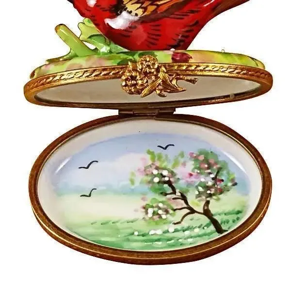Cardinal Spring