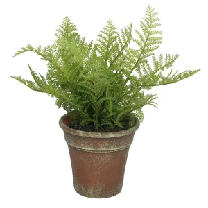 Forest Fern 13" Plant Artificial