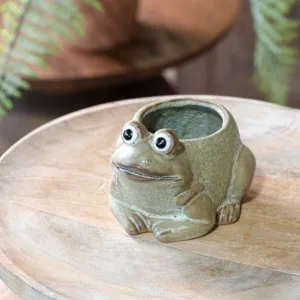 Frog Ceramic Planter