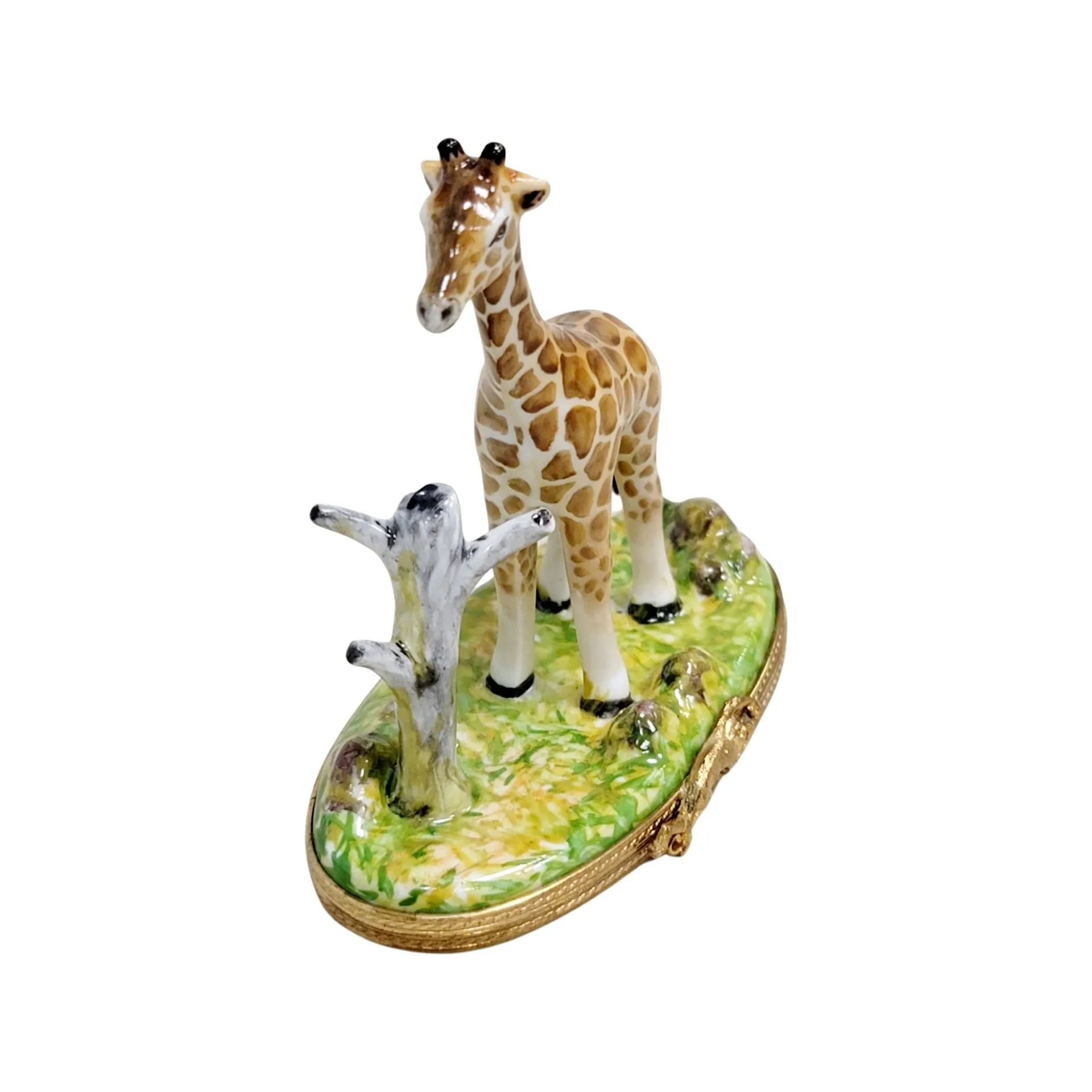 Giraffe w Tree