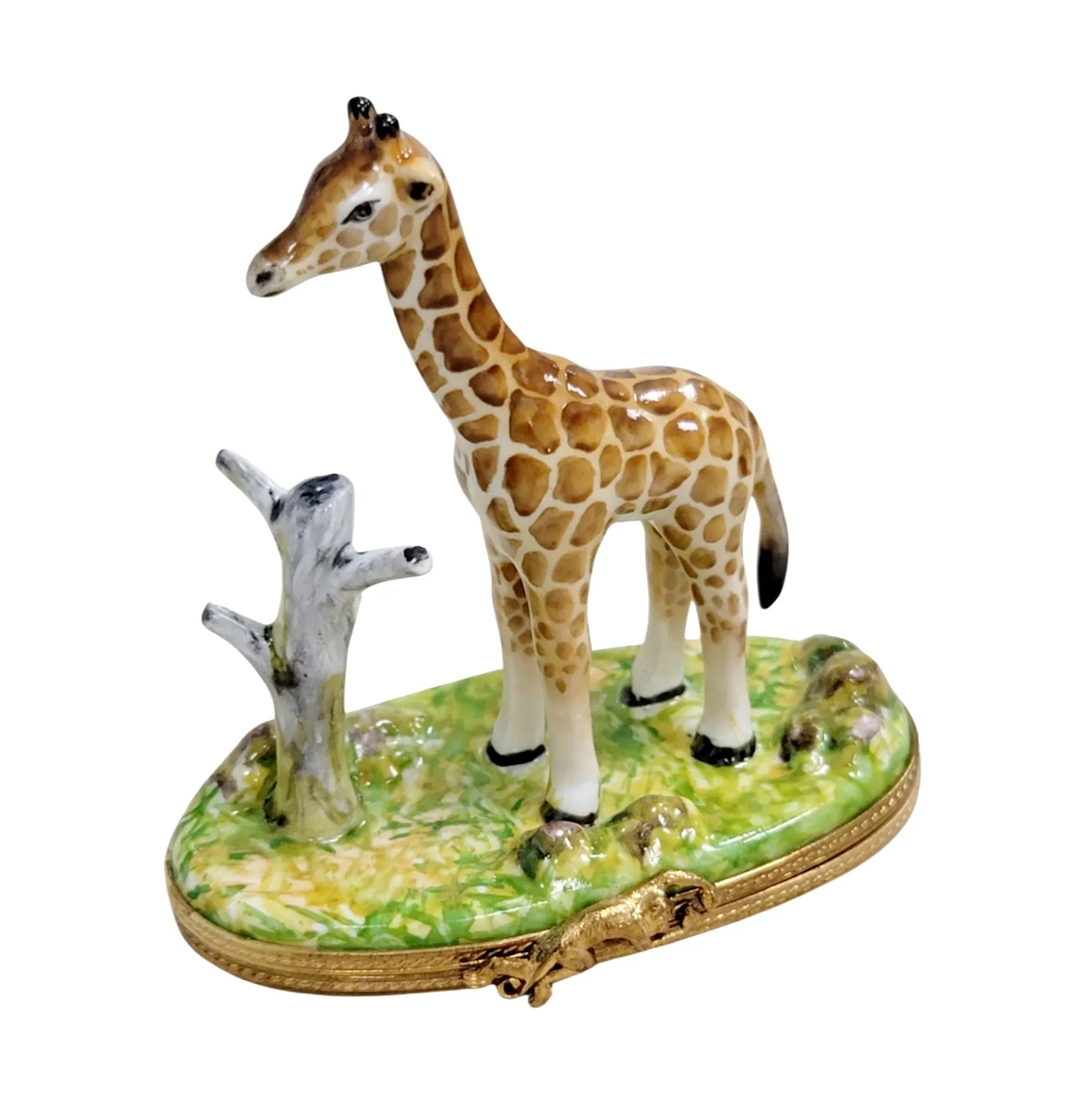 Giraffe w Tree