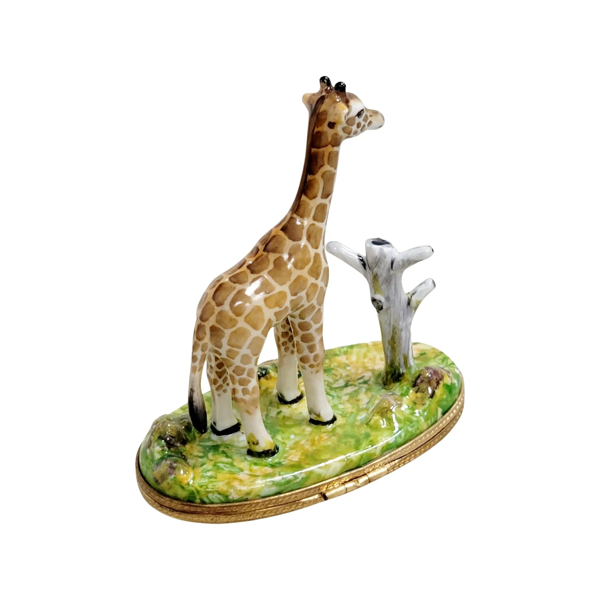 Giraffe w Tree