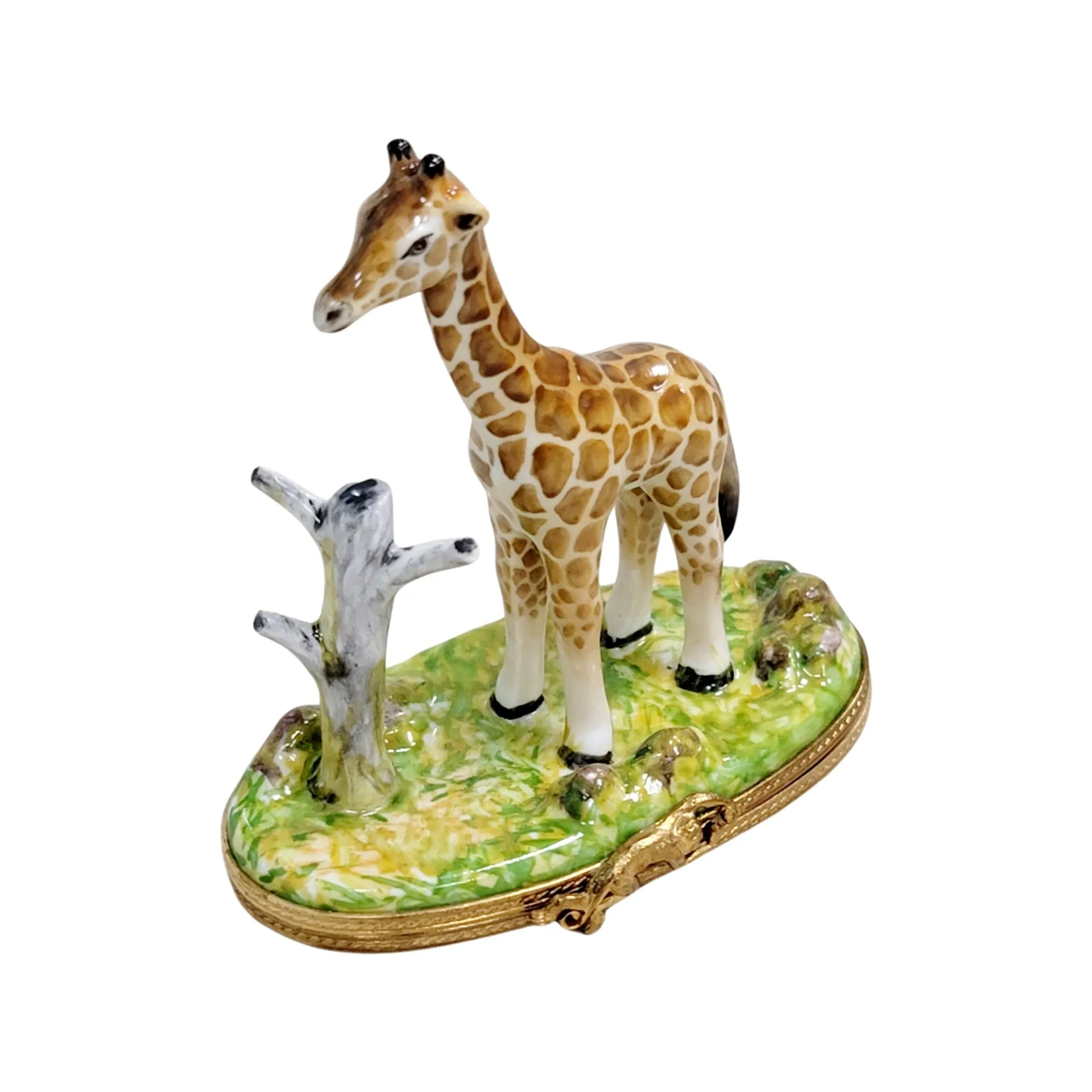 Giraffe w Tree