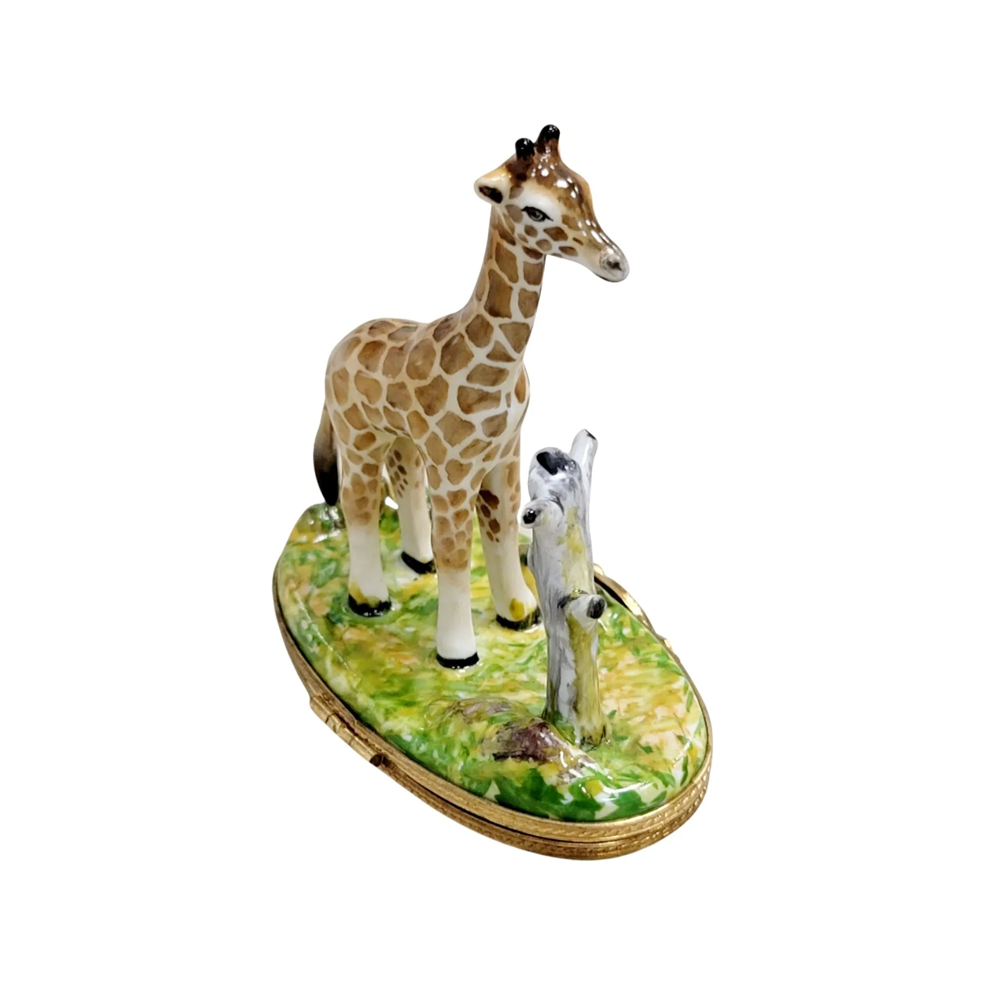 Giraffe w Tree