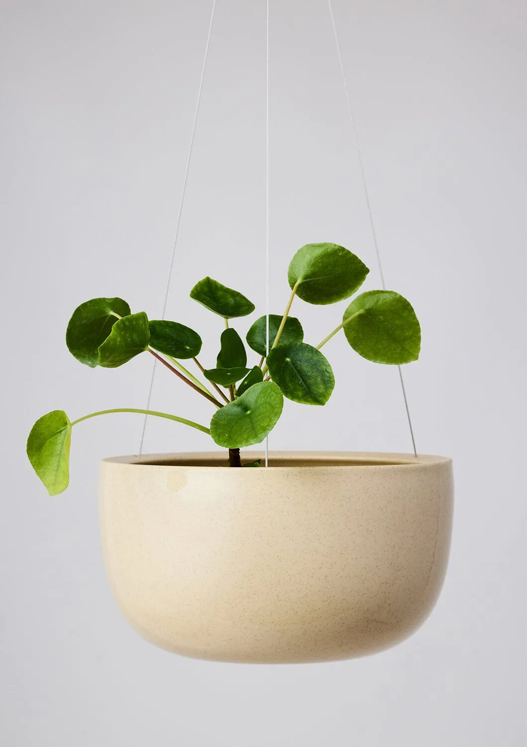Glazed Earth Hanging Planter - Angus and Celeste