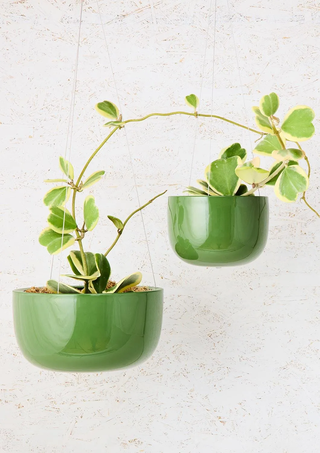 Glazed Earth Hanging Planter - Angus and Celeste