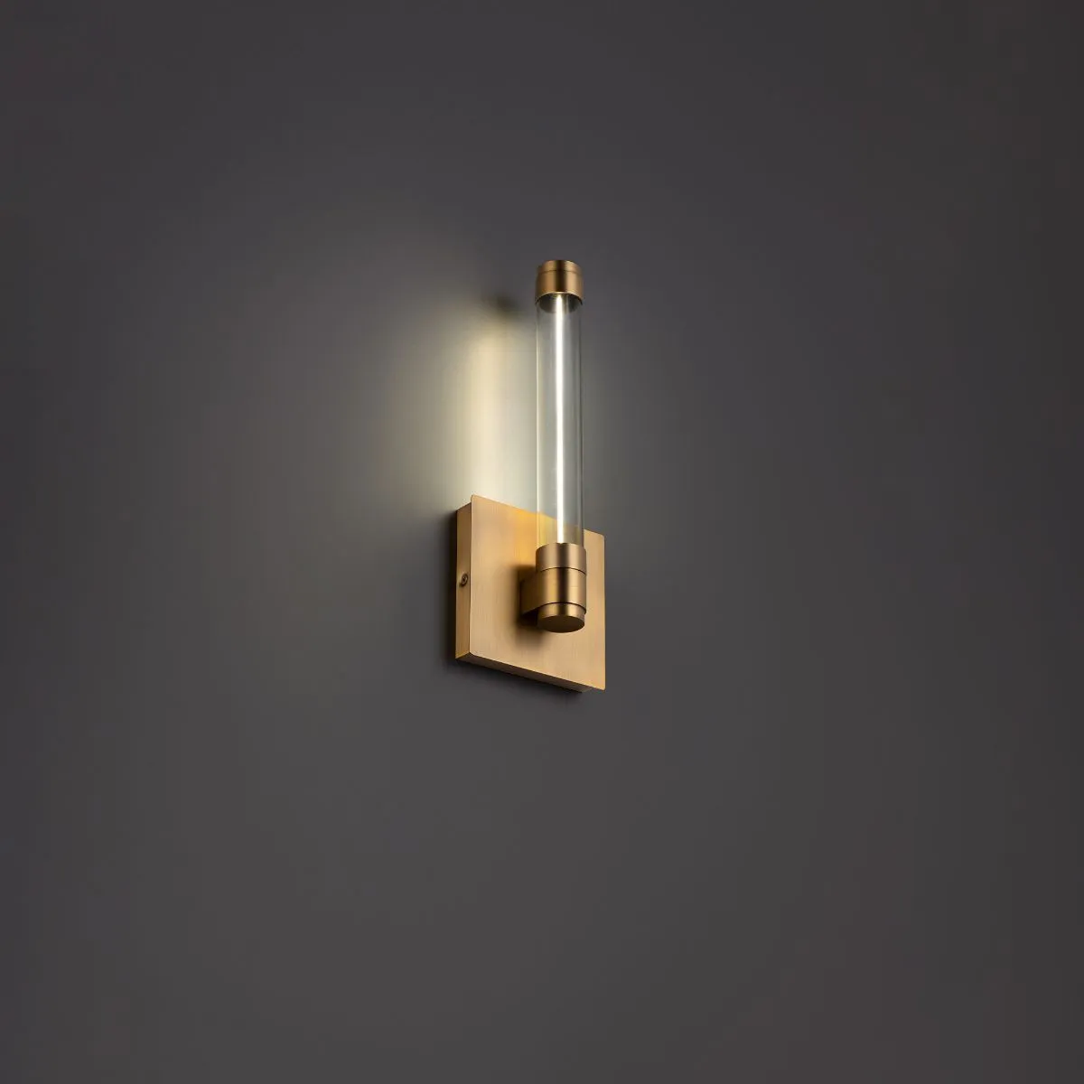 Jedi 12 in. LED Wall Light Brass finish