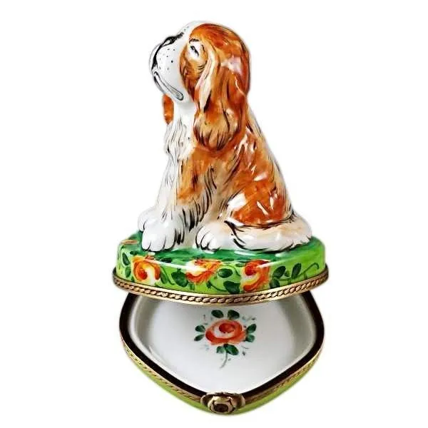 King Charles Spaniel