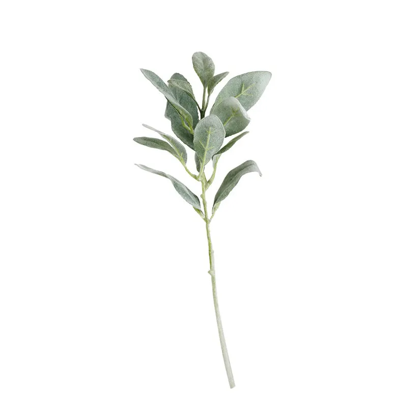 Lambs Ear - Short Stem