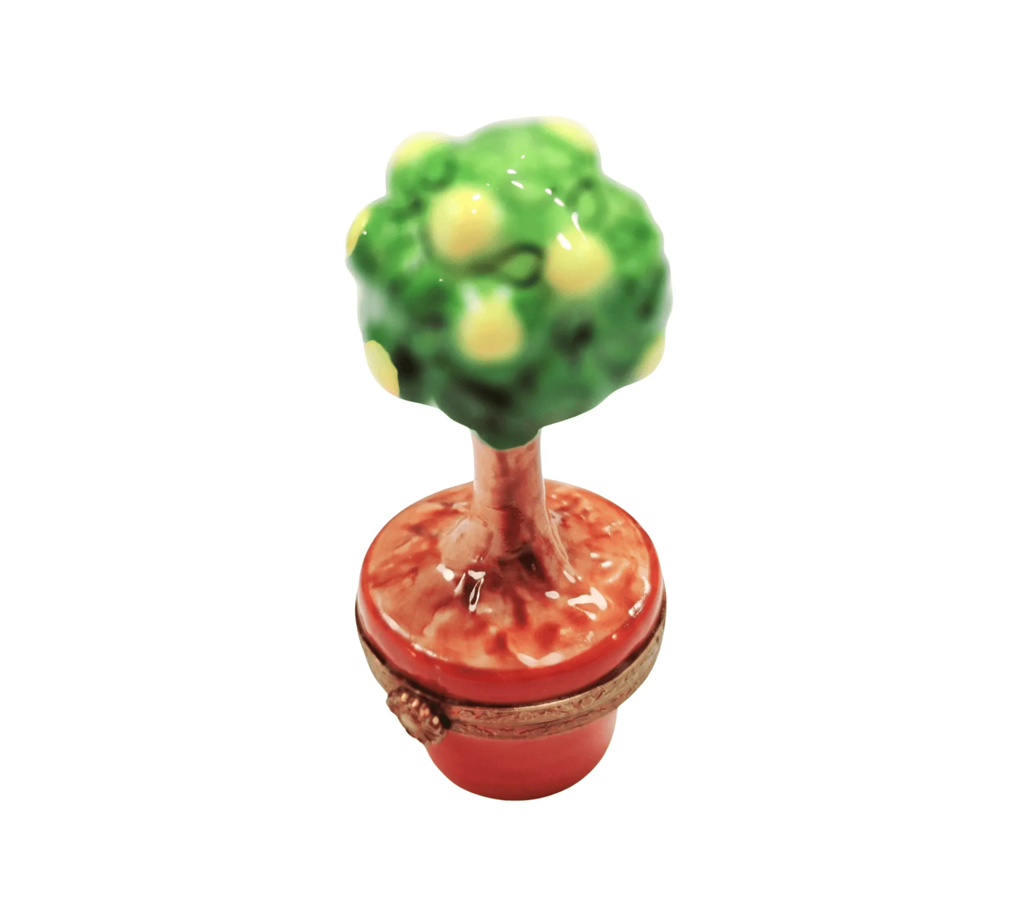 Lemon Tree