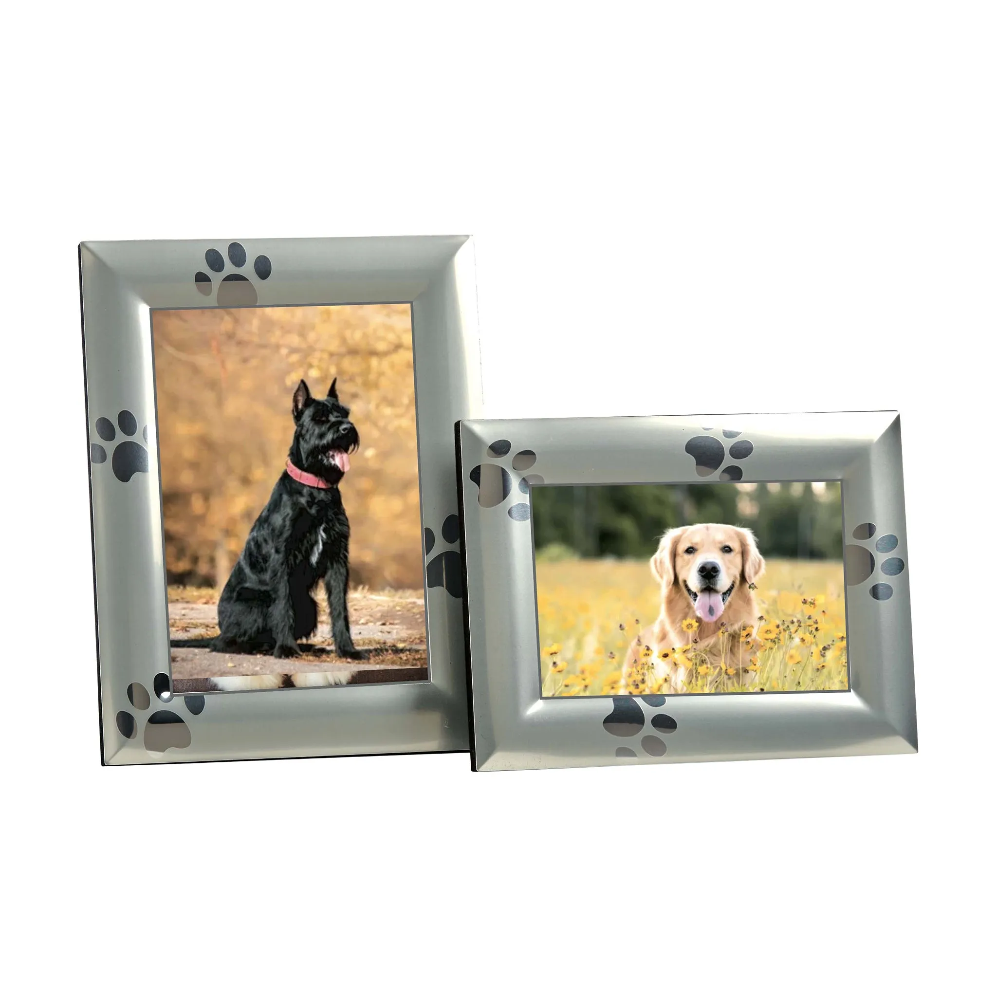 Paw Print Design Frame - 4x6