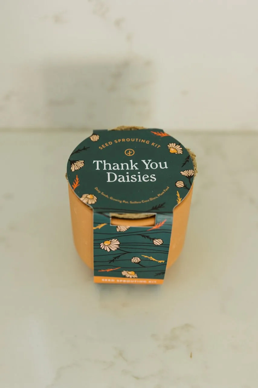 Tiny Terracotta Thank You Daisies Kit