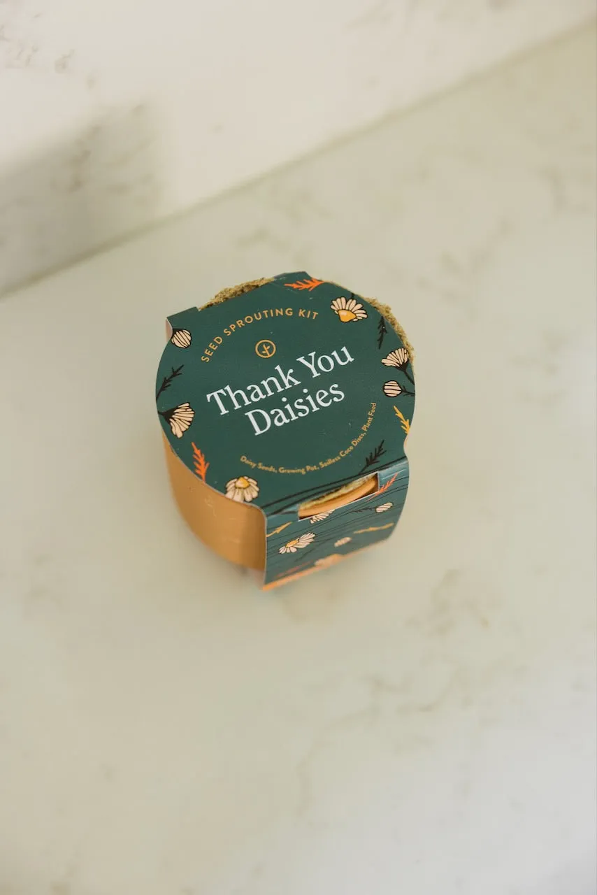 Tiny Terracotta Thank You Daisies Kit