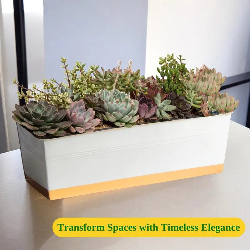 Zutoia Black Planter - Grey