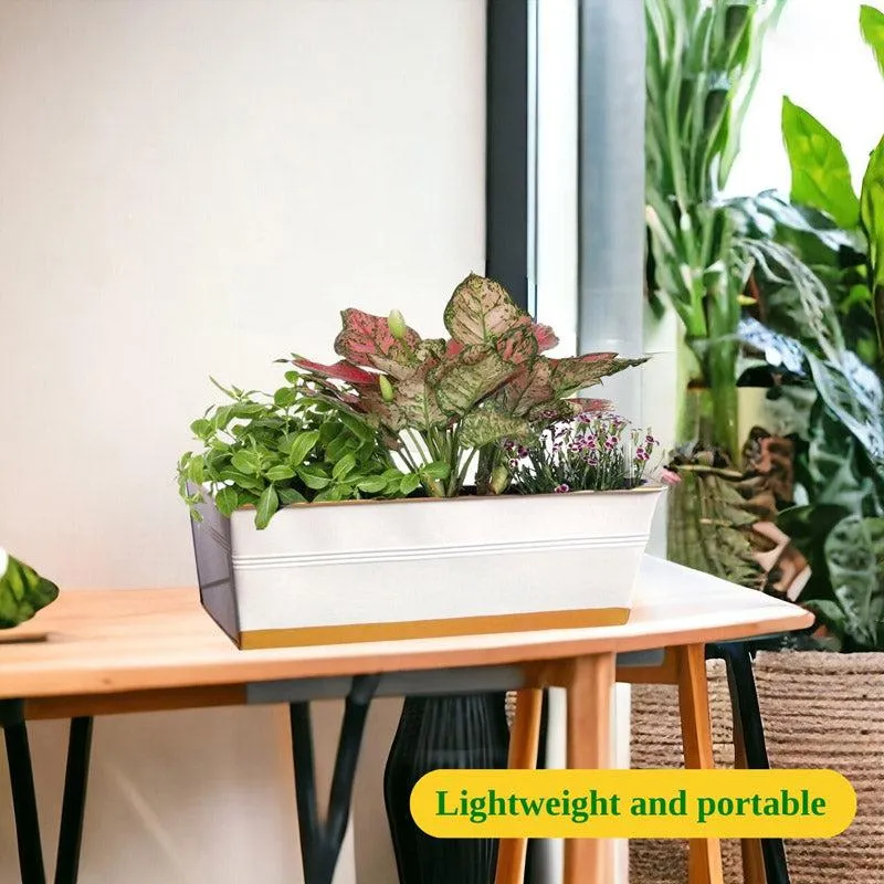 Zutoia Black Planter - Grey