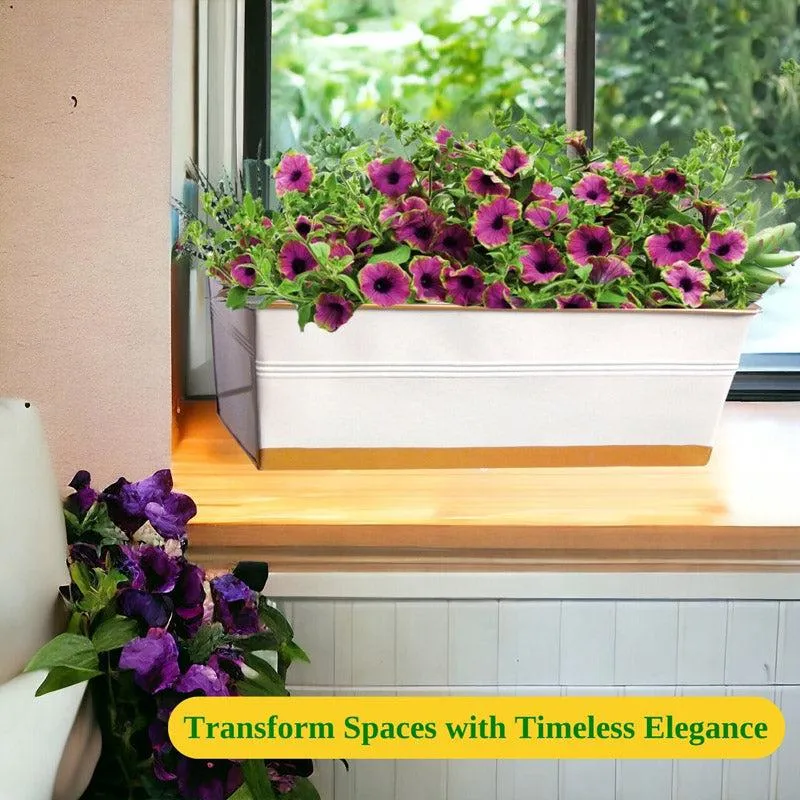 Zutoia Black Planter - Grey