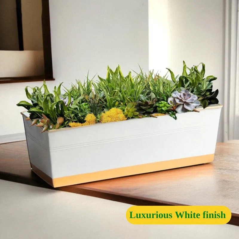 Zutoia Black Planter - Grey