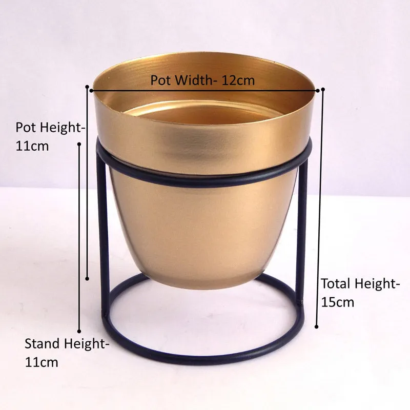 Zutoia Black Planter - White